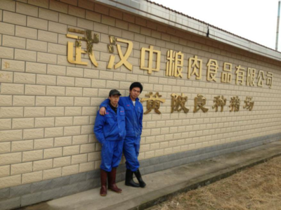 畜牧獸醫(yī)專業(yè)校外實(shí)習(xí)基地建設(shè) 聚焦畜牧漁業(yè)飼料銷售實(shí)踐