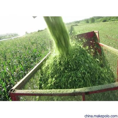 吉林創(chuàng)新發(fā)布懸掛式玉米青儲機(jī)割臺 犇牛大型青飼料收割機(jī)價(jià)格與畜牧飼料銷售新機(jī)遇