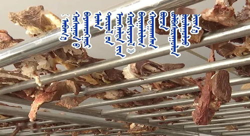 草原深處的財(cái)富密碼 阿巴嘎旗合作社的牛羊肉增值之路